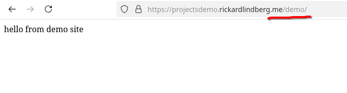 The demo project website which shows the placeholder text.