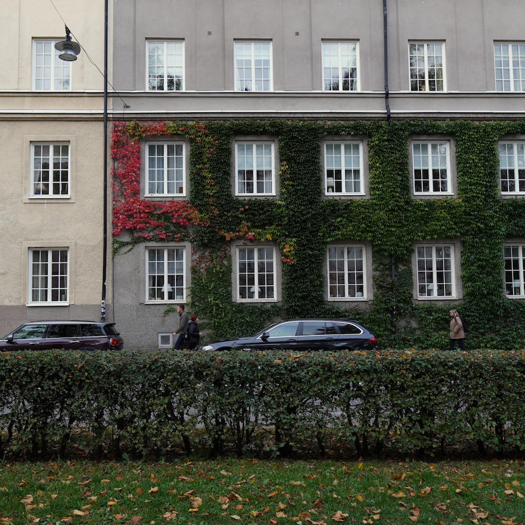 A building in the city with leaves on the wall in different autumn colors.