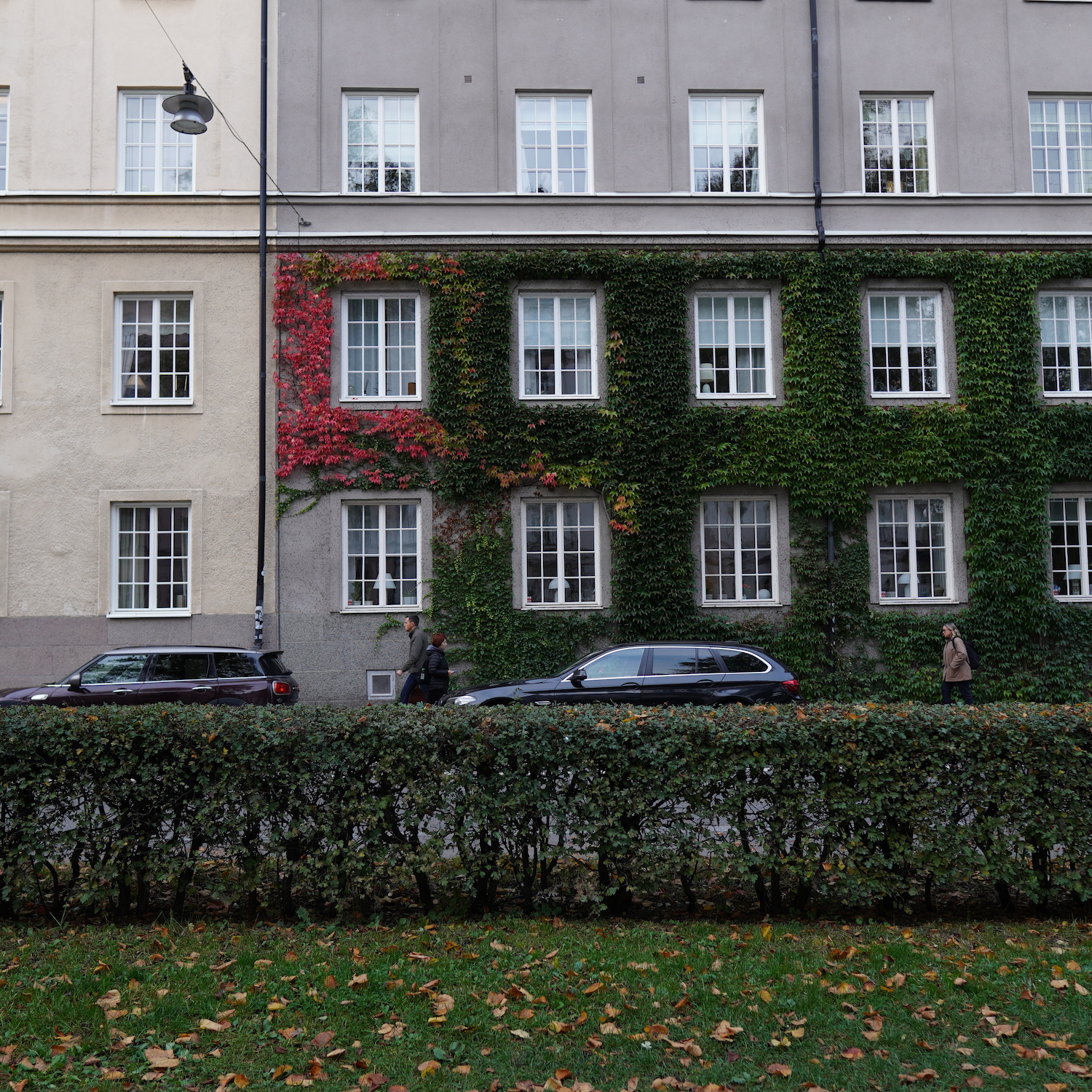 A building in the city with leaves on the wall in different autumn colors.
